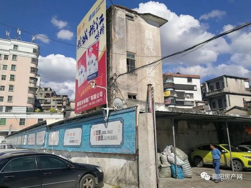 昔日名牌今何在 潮汕一味精厂名下9处房产被司法拍卖