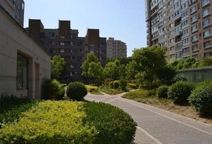 百子湾家园租房,3100元 月,百子湾 沿海赛洛城对面老楼两居 两家合住 优质房源 北京租房 推推99北京房产网