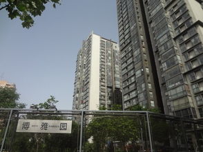 博雅园租房,33000元 月,观golf 南北通透 朝阳公园 景园 9号公寓 拎包入住 北京租房 推推99北京房产网