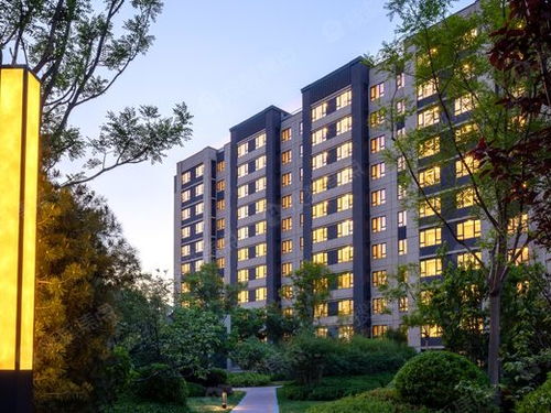 北京首创禧悦兴城 全新人居体验的艺术呈现