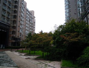 宣武门枫桦豪景豪装一居室 白领租房的不二之选