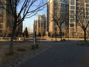 雍景天成精装大二居出租，月租9800元，花园式小区品质生活